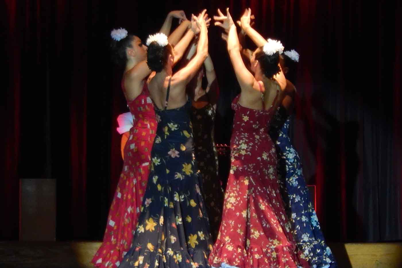 Flamenco Show