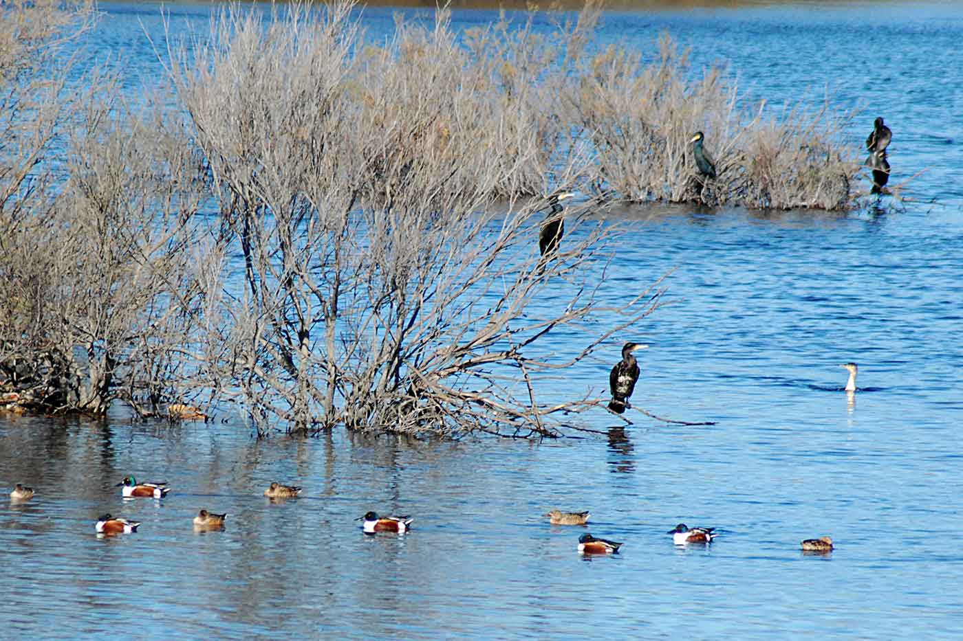 Rio Guadalhorce Nature Reserve