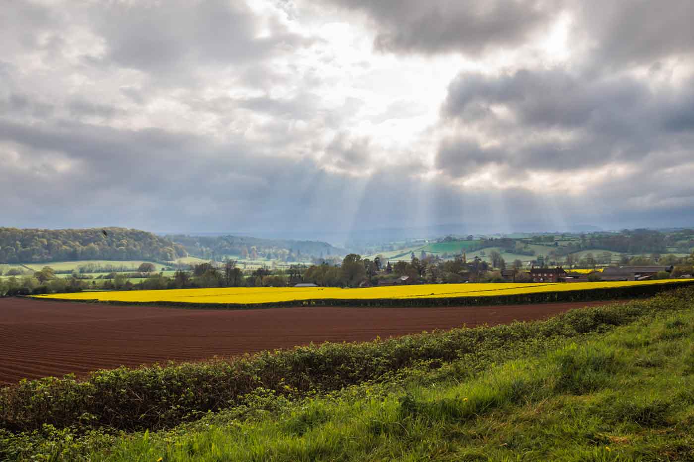 Golden Valley